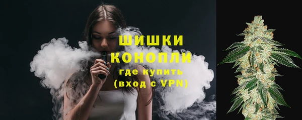 кокс Дмитров
