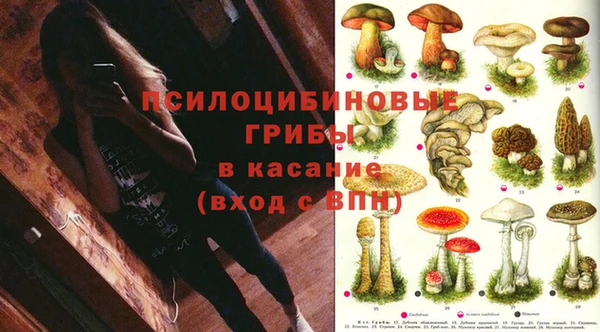 гидра Дмитриев